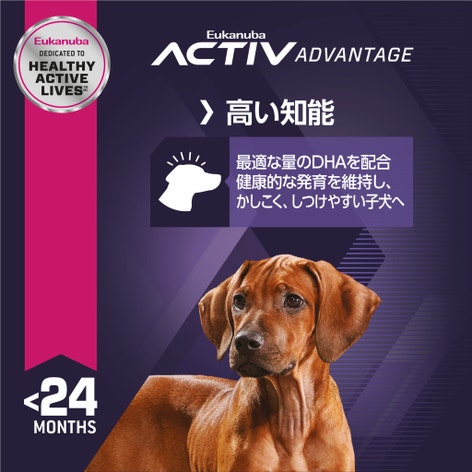 image ed35bd24-9934-4d90-bd9e-e58e5b33f50e
